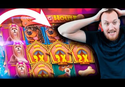 Streamer Mega win 35.000€ on The Dog House slot – TOP 5 Mega wins of the week