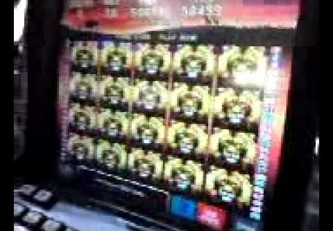 Biggest win possible for 50 lions slot machine!!!