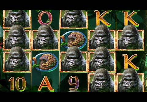 👑 Gorilla Kingdom Big Win Bonus 💰 A Slot By Netent.