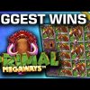 Top 10 Slot Wins on Primal Megaways