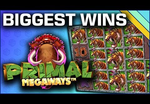 Top 10 Slot Wins on Primal Megaways