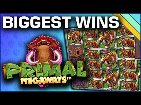 Top 10 Slot Wins on Primal Megaways