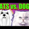 **SUPER BIG WINS CATS VS DOGS** SLOT MACHINE BONUS WINS #BAM!