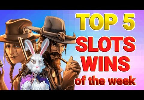 🔴 BIGGEST WINS OF THE WEEK #4 – Dead or Alive 2 slot x27227 – 🚨ONLINECASINOPOLICE🚨 COMPILATION