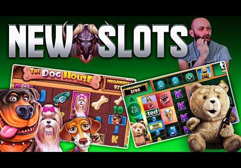 New Online Slots! Dog House Megaways, Ted Megaways, & HUGE win on Win-a-Beest!