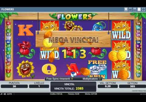 Flowers slot by NETENT Mega Big Win  6eur bet