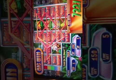 Jungle wild 2 slot machine 20 spin big win bonus