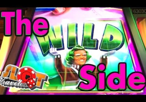 ** SUPER BIG WINS ** The BIG WILD SIDE | SlotTraveler