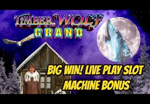 TIMBER WOLF BIG WIN SLOT MACHINE BONUS
