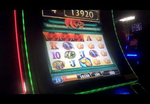 Super Red Phoenix Slot Machine BIG WIN Bonus