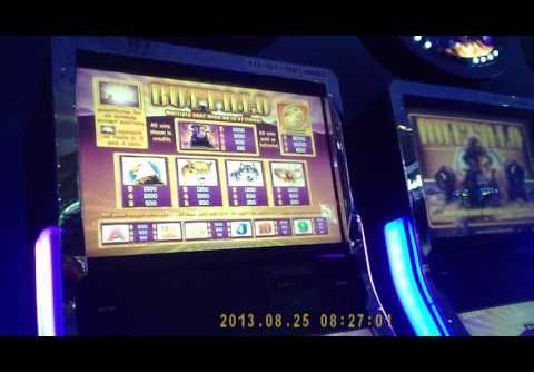 Big win! Original Buffalo Slot machine win  pt 2 of 2 Delta Downs Vinton, LA 10/ 16