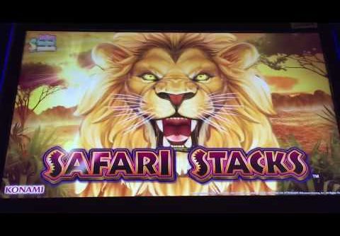 Nice Konami SAFARI STACKS Slot Bonus BIG WIN *Multipliers*