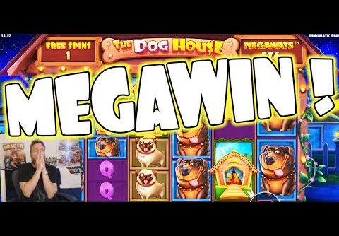 Dog House Megaways MEGAWIN! (NEW GAME!)