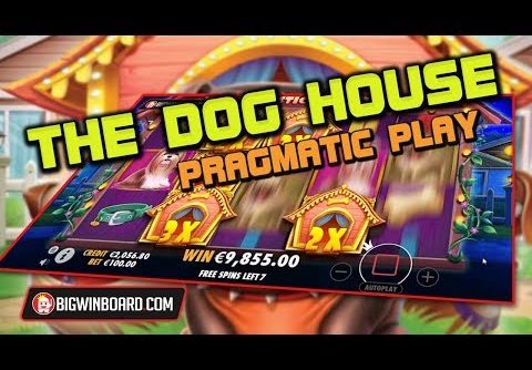THE DOG HOUSE (PRAGMATIC PLAY) 100€ STAKE MEGA WIN