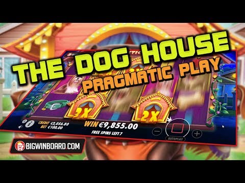 THE DOG HOUSE (PRAGMATIC PLAY) 100€ STAKE MEGA WIN
