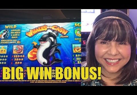 BIG WIN-WHALES OF CASH DELUXE SLOT MACHINE BONUS