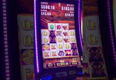 Buffalo Grand Slot Machine SUPER JACKPOT x4 HANDPAY BIG WIN Free Games Bonus