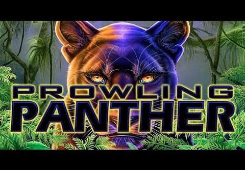 SUPER BIG WIN! | SLOT BONUS | Prowling Panther