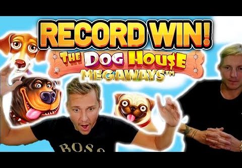 RECORD WIN!!!! DOG HOUSE 2 MEGAWAYS BIG WIN – EXCLUSIVE Casino Slot from Casinodaddy LIVE STREAM