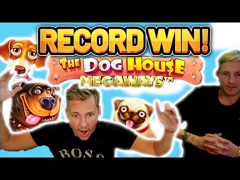 RECORD WIN!!!! DOG HOUSE 2 MEGAWAYS BIG WIN – EXCLUSIVE Casino Slot from Casinodaddy LIVE STREAM