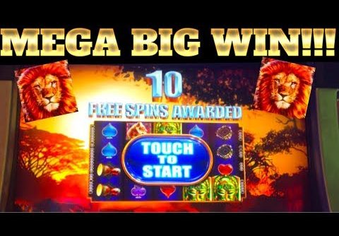 MEGA WIN BONUS!!! LIONS!!! KING OF AFRICA SLOT MACHINE!!!