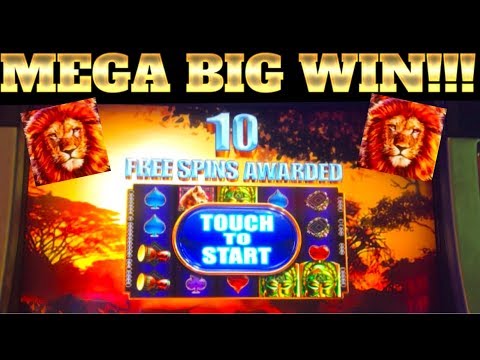 MEGA WIN BONUS!!! LIONS!!! KING OF AFRICA SLOT MACHINE!!!