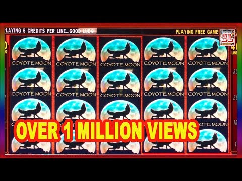 ** 6 VERY RARE WINS ** MUST WATCH ** SLOT LOVER **