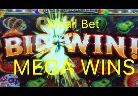 MEGA WINS on small bet – ULTIMATE FIRE LINK