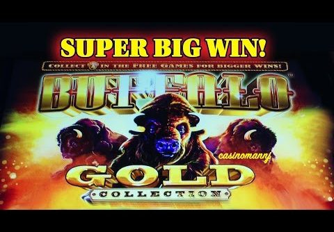 **NEW** – BUFFALO GOLD SLOT – SUPER BIG WIN!! – Slot Machine Bonus