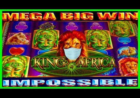 **MEGA BIG WIN!!!** SO MANY LIONS!🦁King of Africa WMS Slot Machine Bonus