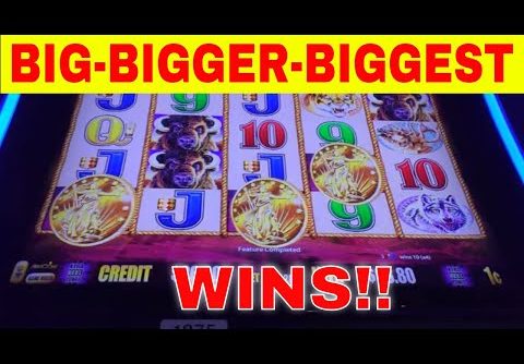 BIG-BIGGER-BIGGEST WINS!!  Buffalo Gold – Redtint Loves Slots