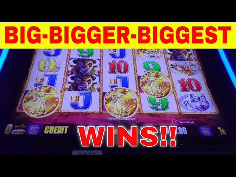 BIG-BIGGER-BIGGEST WINS!!  Buffalo Gold – Redtint Loves Slots