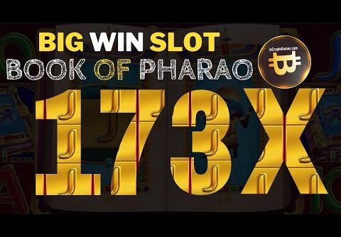 Big Win x173 Book of Pharao Amatic Slot