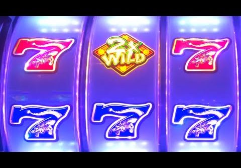 🌹 HUGE WIN! 🌹Wild Rose Casino Slot Machine Winning!