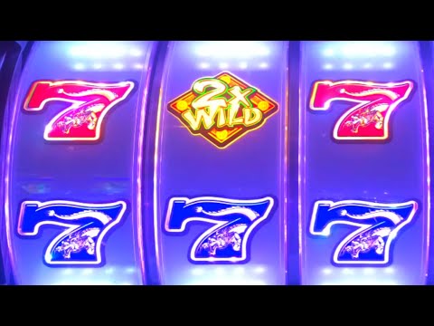 🌹 HUGE WIN! 🌹Wild Rose Casino Slot Machine Winning!