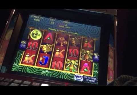 **5 Dragons slot**bonus**live play**line hit**big win**