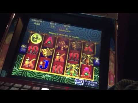 **5 Dragons slot**bonus**live play**line hit**big win**