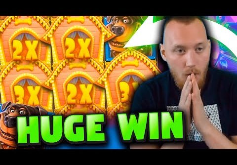 ClassyBeef New Big Win 20.000€ on The Dog House slot – TOP 5 Biggest wins of the week