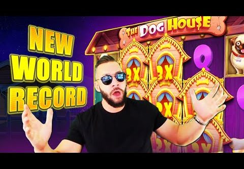 DeuceAce! New World Record 129,122 € in The Dog House slot! 5 Biggest Online Slots Wins!