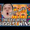 BIGGEST WINS on THE DOG HOUSE SLOT
