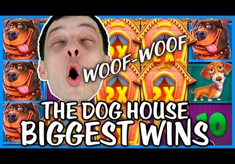 BIGGEST WINS on THE DOG HOUSE SLOT