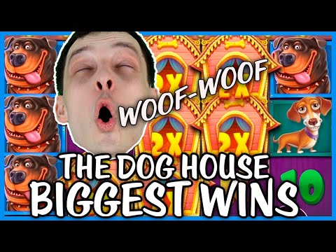 BIGGEST WINS on THE DOG HOUSE SLOT