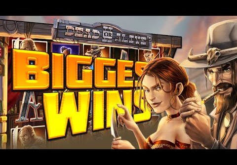 Top 5 Biggest wins of the week in DoA 2! ROSHTEIN! Record Win 128,742 EUR on Dead or Alive 2 slot!