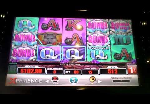 Silver Fox HUGE WIN Slot Machine Bonus