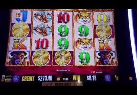 Another HUGE win on Buffalo Gold!!!
