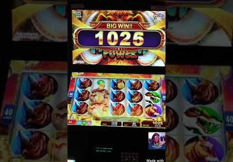 BUFFALO Gold slot  ,COBRA HEARTS big win