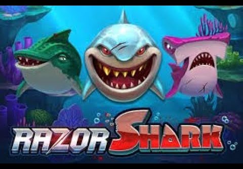 Over 85,000x Bet – BIGGEST win ever on Razor Shark by a Swedish Player!
