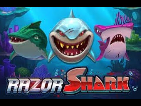 Over 85,000x Bet – BIGGEST win ever on Razor Shark by a Swedish Player!