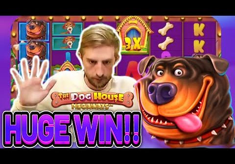 HUGE WIN! DOG HOUSE MEGAWAYS BIG WIN – €5 bet on Casino Slot from CASINODADDY