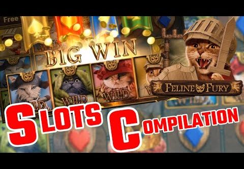 SLOTS Bonus Compilation – Slots Include: Bonanza Megaways, Feline Fury BIG WIN, Book Of Dead + more